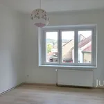 Rent 3 bedroom apartment in Písek