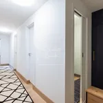 Pronajměte si 3 ložnic/e byt o rozloze 91 m² v Prague