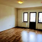 Rent 3 bedroom apartment of 124 m² in Ostrava