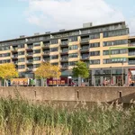 Rent 3 bedroom apartment of 79 m² in Leidsche Rijn-Centrum