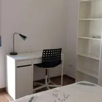 Rent a room in bologna