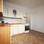 Rent 1 bedroom apartment of 40 m² in Loket