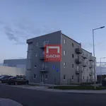 Pronajměte si 3 ložnic/e byt o rozloze 55 m² v Mohelnice