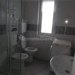 Rent 1 bedroom apartment of 32 m² in Turin