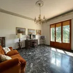 Rent 5 bedroom apartment of 110 m² in Siena