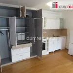 Rent 1 bedroom apartment in Capital City of Prague