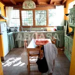 Rent 2 bedroom apartment of 50 m² in Roma