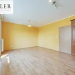 Rent 2 bedroom apartment in Plzeň