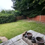 Detached bungalow to rent in Sandy Lane, Woking GU22