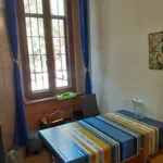 Rent 3 bedroom apartment of 70 m² in Bologna