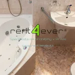 Rent 1 bedroom apartment of 48 m² in Prague