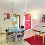 Rent 3 bedroom apartment of 55 m² in Turin