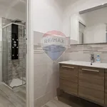 Rent 1 bedroom apartment of 45 m² in Rivarolo Canavese