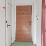 Rent 1 bedroom apartment of 31 m² in Velké Meziříčí