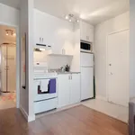  appartement avec 1 chambre(s) en location à 254,