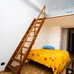 Rent 1 bedroom apartment of 35 m² in Torino