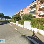 Rent 3 bedroom apartment of 85 m² in Rome