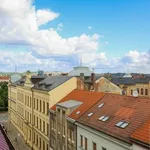 Rent 2 bedroom apartment in Pilsen