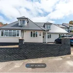 Rent 4 bedroom house in East Of England