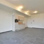 Huur 1 slaapkamer appartement in DENDERMONDE