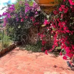 Rent 2 bedroom apartment of 35 m² in Monte Argentario