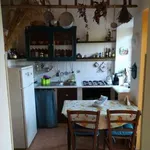 Rent 2 bedroom apartment of 45 m² in Messina