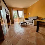 Rent 5 bedroom apartment of 105 m² in Siena