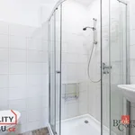 Rent 1 bedroom apartment in Brno