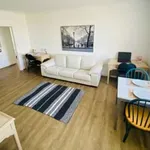 Rent 1 bedroom apartment in Old Toronto