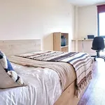 Rent 1 bedroom flat in Sheffield