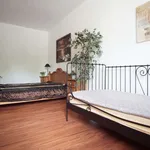 Rent 2 bedroom apartment of 80 m² in berlin