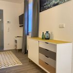 Cozy 2-room flat, well connected, in Frankfurt's green suburbs, Friedrichsdorf - Amsterdam Apartments for Rent