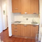 Rent 1 bedroom house of 25 m² in Rome