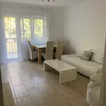 Rent 2 bedroom apartment of 46 m² in budapest