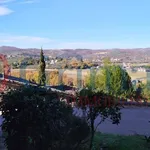 Rent 2 bedroom apartment of 55 m² in Corciano