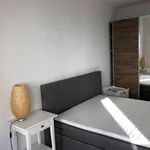 Miete 5 Schlafzimmer wohnung in Frankfurt