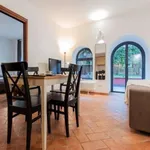 Rent 1 bedroom apartment in Rome