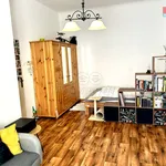 Rent 1 bedroom apartment of 30 m² in České Budějovice