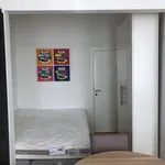 Rent 1 bedroom apartment in Antwerp