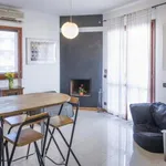 Rent 1 bedroom apartment in Rome