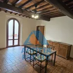 Rent 2 bedroom apartment of 55 m² in Florence