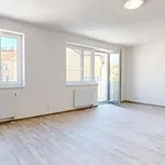 Rent 2 bedroom apartment of 84 m² in Plzeň