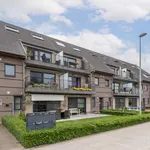 Rent 2 bedroom apartment in Willebroek