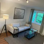 Rent 3 bedroom apartment of 65 m² in München