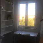 Rent 4 bedroom apartment in Madrid