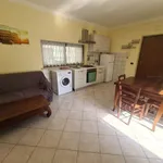 Rent 3 bedroom apartment of 60 m² in Roma