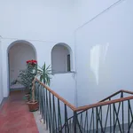 Rent 1 bedroom apartment of 62 m² in Florence