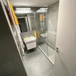 Pronajměte si 2 ložnic/e byt o rozloze 55 m² v Prague