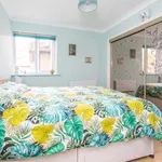 Rent 1 bedroom flat in Colchester