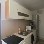 Rent 1 bedroom apartment in Praha - východ